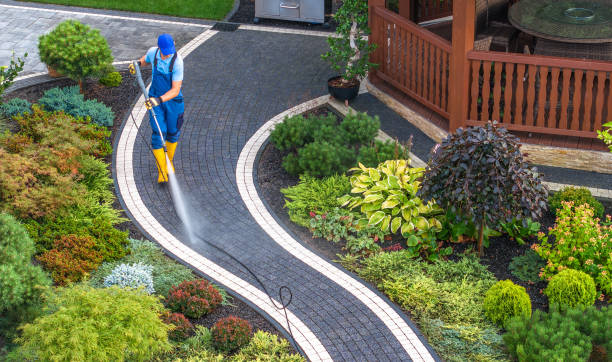 Best Concrete Pressure Washing  in Oglethorpe, GA